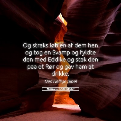 Picture 05 - Matthæus 27:48 DA1871 - Og straks løb en af dem hen og tog en Svamp og - Bible Verse Picture