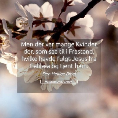 Picture 05 - Matthæus 27:55 DA1871 - Men der var mange Kvinder der, som saa til i - Bible Verse Picture