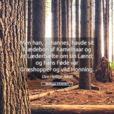 Picture 05 - Matthæus 3:4 DA1871 - Men han, Johannes, havde sit Klædebon af - Bible Verse Picture