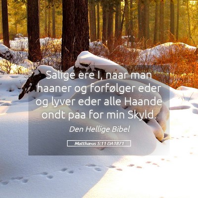 Picture 05 - Matthæus 5:11 DA1871 - Salige ere I, naar man haaner og forfølger eder - Bible Verse Picture