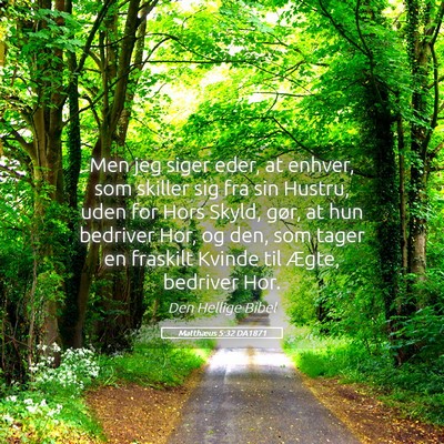 Picture 05 - Matthæus 5:32 DA1871 - Men jeg siger eder, at enhver, som skiller sig - Bible Verse Picture