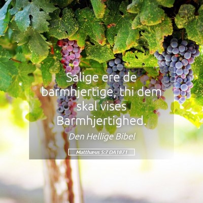 Picture 05 - Matthæus 5:7 DA1871 - Salige ere de barmhjertige, thi dem skal vises - Bible Verse Picture