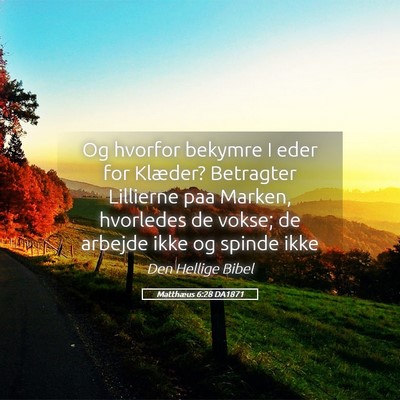 Picture 05 - Matthæus 6:28 DA1871 - Og hvorfor bekymre I eder for Klæder? Betragter - Bible Verse Picture