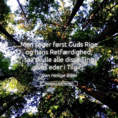 Picture 05 - Matthæus 6:33 DA1871 - Men søger først Guds Rige og hans - Bible Verse Picture