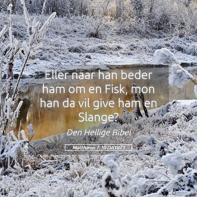 Picture 05 - Matthæus 7:10 DA1871 - Eller naar han beder ham om en Fisk, mon han da - Bible Verse Picture