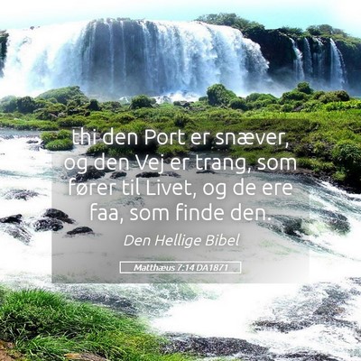 Picture 05 - Matthæus 7:14 DA1871 - thi den Port er snæver, og den Vej er trang, som - Bible Verse Picture