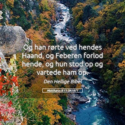 Picture 05 - Matthæus 8:15 DA1871 - Og han rørte ved hendes Haand, og Feberen forlod - Bible Verse Picture
