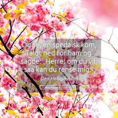 Picture 05 - Matthæus 8:2 DA1871 - Og se, en spedalsk kom, faldt ned for ham og - Bible Verse Picture
