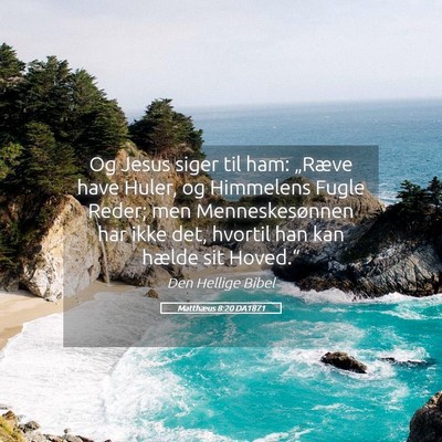 Picture 05 - Matthæus 8:20 DA1871 - Og Jesus siger til ham: „Ræve have Huler, og - Bible Verse Picture