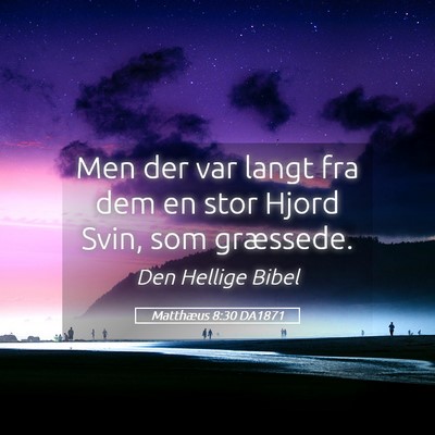 Picture 05 - Matthæus 8:30 DA1871 - Men der var langt fra dem en stor Hjord Svin, som - Bible Verse Picture