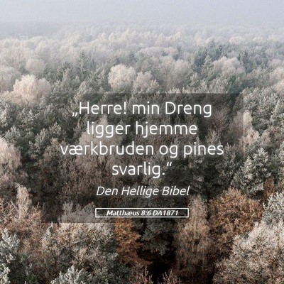 Picture 05 - Matthæus 8:6 DA1871 - „Herre! min Dreng ligger hjemme værkbruden og - Bible Verse Picture