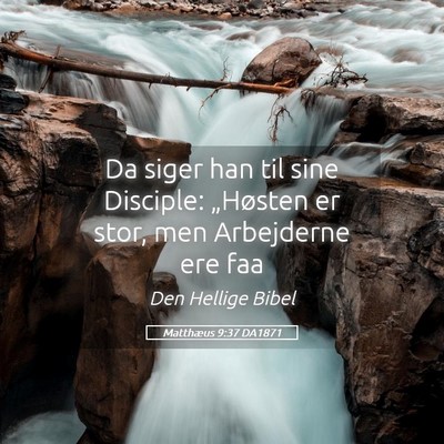 Picture 05 - Matthæus 9:37 DA1871 - Da siger han til sine Disciple: „Høsten er - Bible Verse Picture