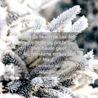 Picture 05 - Matthæus 9:8 DA1871 - Men da Skarerne saa det, frygtede de og priste - Bible Verse Picture