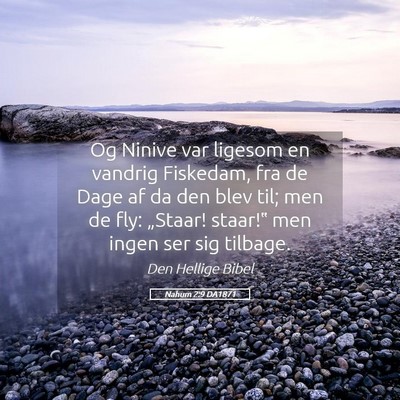 Picture 05 - Nahum 2:9 DA1871 - Og Ninive var ligesom en vandrig Fiskedam, fra de - Bible Verse Picture