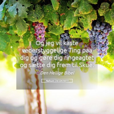 Picture 05 - Nahum 3:6 DA1871 - Og jeg vil kaste vederstyggelige Ting paa dig og - Bible Verse Picture