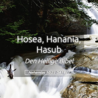 Picture 05 - Nehemias 10:23 DA1871 - Hosea, Hanania, - Bible Verse Picture