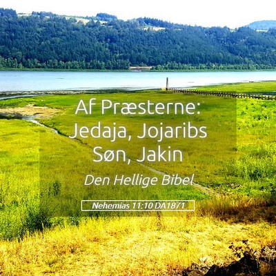 Picture 05 - Nehemias 11:10 DA1871 - Af Præsterne: Jedaja, Jojaribs Søn, - Bible Verse Picture