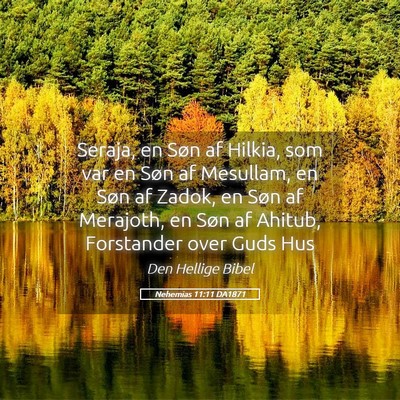 Picture 05 - Nehemias 11:11 DA1871 - Seraja, en Søn af Hilkia, som var en Søn af - Bible Verse Picture