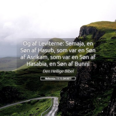 Picture 05 - Nehemias 11:15 DA1871 - Og af Leviterne: Semaja, en Søn af Hasub, som - Bible Verse Picture