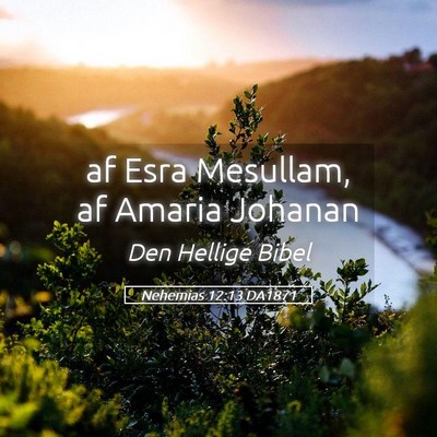Picture 05 - Nehemias 12:13 DA1871 - af Esra Mesullam, af Amaria - Bible Verse Picture