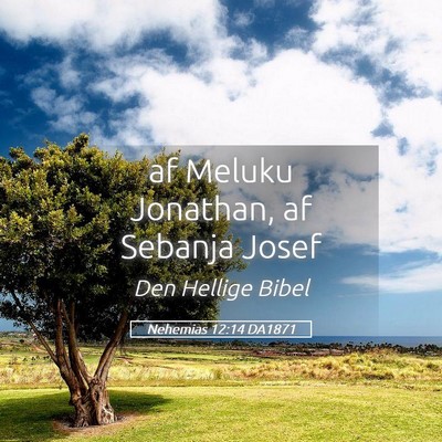 Picture 05 - Nehemias 12:14 DA1871 - af Meluku Jonathan, af Sebanja - Bible Verse Picture