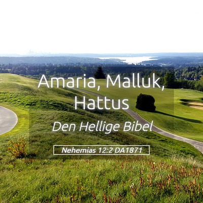 Picture 05 - Nehemias 12:2 DA1871 - Amaria, Malluk, - Bible Verse Picture