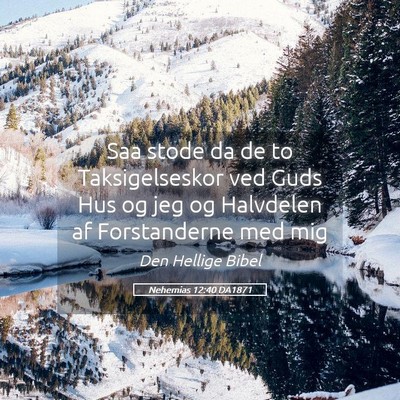 Picture 05 - Nehemias 12:40 DA1871 - Saa stode da de to Taksigelseskor ved Guds Hus og - Bible Verse Picture