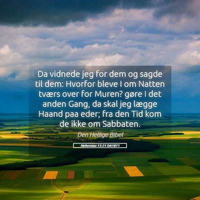Picture 05 - Nehemias 13:21 DA1871 - Da vidnede jeg for dem og sagde til dem: Hvorfor - Bible Verse Picture