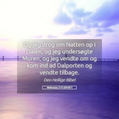 Picture 05 - Nehemias 2:15 DA1871 - Og jeg drog om Natten op i Dalen, og jeg - Bible Verse Picture