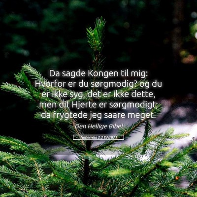 Picture 05 - Nehemias 2:2 DA1871 - Da sagde Kongen til mig: Hvorfor er du - Bible Verse Picture
