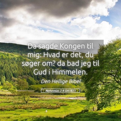 Picture 05 - Nehemias 2:4 DA1871 - Da sagde Kongen til mig: Hvad er det, du søger - Bible Verse Picture