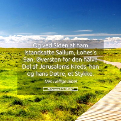 Picture 05 - Nehemias 3:12 DA1871 - Og ved Siden af ham istandsatte Sallum, Lohes's - Bible Verse Picture