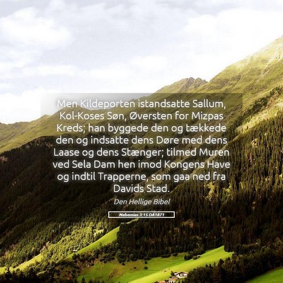 Picture 05 - Nehemias 3:15 DA1871 - Men Kildeporten istandsatte Sallum, Kol-Koses - Bible Verse Picture
