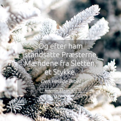 Picture 05 - Nehemias 3:22 DA1871 - Og efter ham istandsatte Præsterne, Mændene fra - Bible Verse Picture