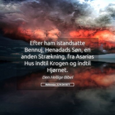 Picture 05 - Nehemias 3:24 DA1871 - Efter ham istandsatte Bennuj, Henadads Søn, en - Bible Verse Picture