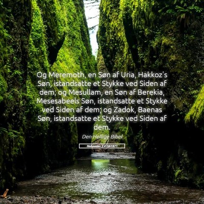 Picture 05 - Nehemias 3:4 DA1871 - Og Meremoth, en Søn af Uria, Hakkoz's Søn, - Bible Verse Picture