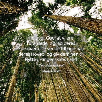 Picture 05 - Nehemias 4:4 DA1871 - Hør, vor Gud! at vi ere foragtede, og lad deres - Bible Verse Picture