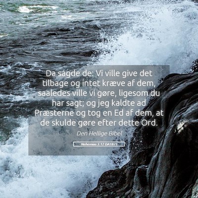 Picture 05 - Nehemias 5:12 DA1871 - Da sagde de: Vi ville give det tilbage og intet - Bible Verse Picture