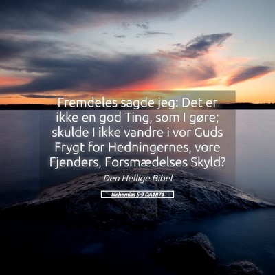 Picture 05 - Nehemias 5:9 DA1871 - Fremdeles sagde jeg: Det er ikke en god Ting, som - Bible Verse Picture