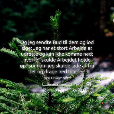 Picture 05 - Nehemias 6:3 DA1871 - Og jeg sendte Bud til dem og lod sige: Jeg har et - Bible Verse Picture