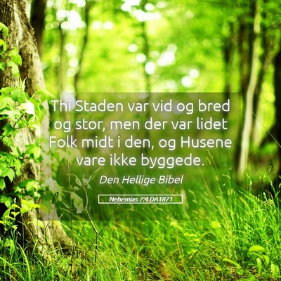 Picture 05 - Nehemias 7:4 DA1871 - Thi Staden var vid og bred og stor, men der var - Bible Verse Picture