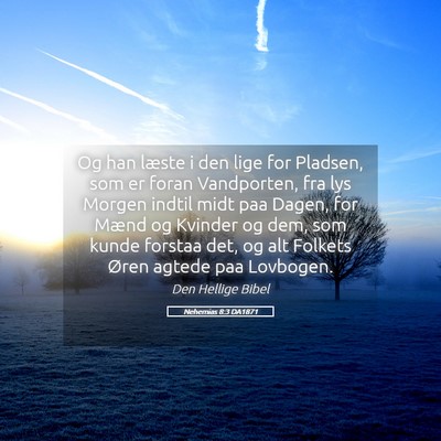 Picture 05 - Nehemias 8:3 DA1871 - Og han læste i den lige for Pladsen, som er - Bible Verse Picture