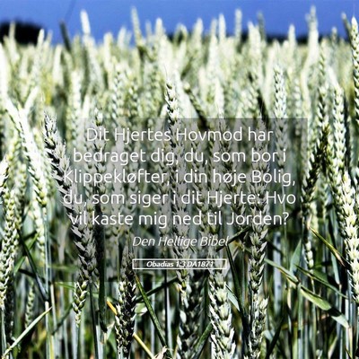 Picture 05 - Obadias 1:3 DA1871 - Dit Hjertes Hovmod har bedraget dig, du, som bor - Bible Verse Picture