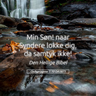 Picture 05 - Ordsprogene 1:10 DA1871 - Min Søn! naar Syndere lokke dig, da samtyk - Bible Verse Picture