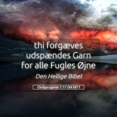 Picture 05 - Ordsprogene 1:17 DA1871 - thi forgæves udspændes Garn for alle Fugles - Bible Verse Picture
