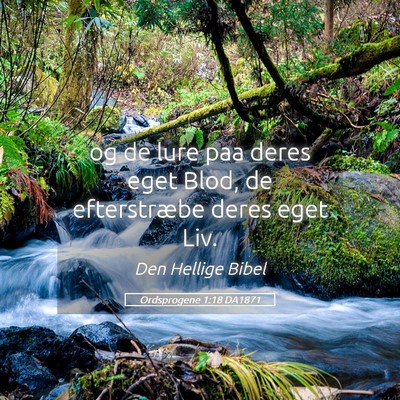 Picture 05 - Ordsprogene 1:18 DA1871 - og de lure paa deres eget Blod, de efterstræbe - Bible Verse Picture