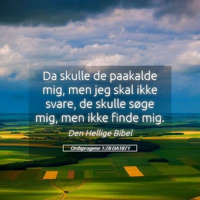 Picture 05 - Ordsprogene 1:28 DA1871 - Da skulle de paakalde mig, men jeg skal ikke - Bible Verse Picture