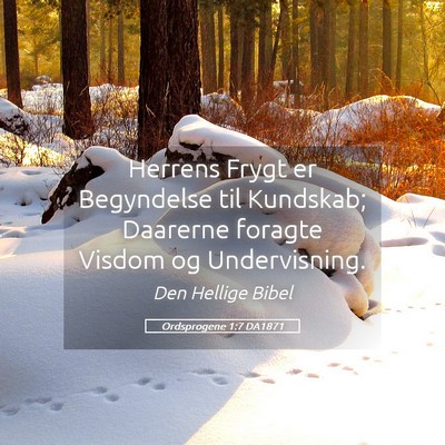 Picture 05 - Ordsprogene 1:7 DA1871 - Herrens Frygt er Begyndelse til Kundskab; - Bible Verse Picture