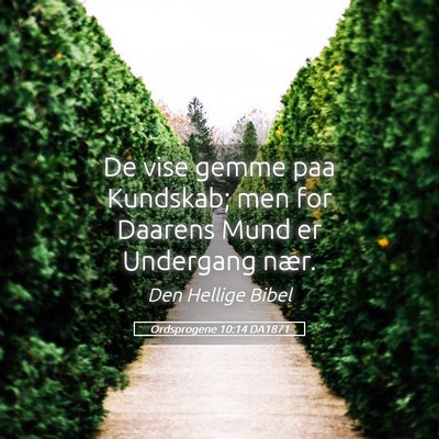 Picture 05 - Ordsprogene 10:14 DA1871 - De vise gemme paa Kundskab; men for Daarens Mund - Bible Verse Picture