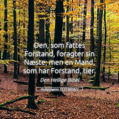 Picture 05 - Ordsprogene 11:12 DA1871 - Den, som fattes Forstand, foragter sin Næste; - Bible Verse Picture